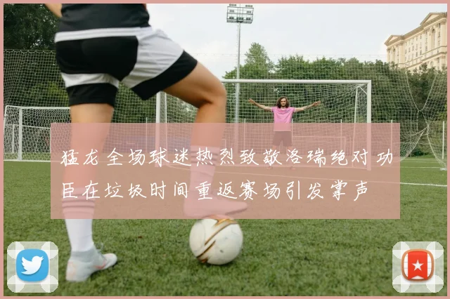 猛龙全场球迷热烈致敬洛瑞绝对功臣在垃圾时间重返赛场引发掌声