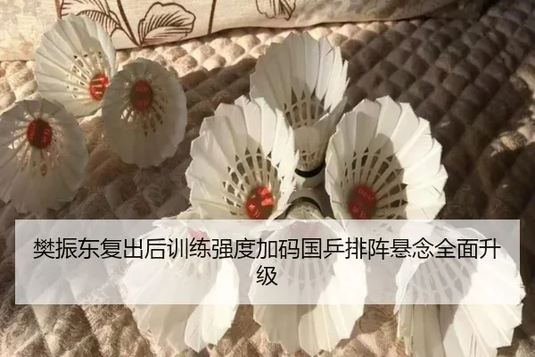 樊振东复出后训练强度加码国乒排阵悬念全面升级 - J9